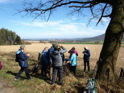 Trinkpause am Waldrand vom Hasselburg  (Bild vergr&ouml;&szlig;ern)