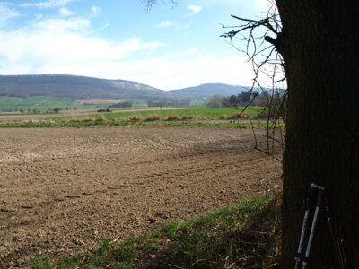 In der Ferne der Ith und Hils  (Bild vergr&ouml;&szlig;ern)