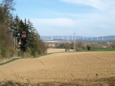 Mutiger Ansitz  (Bild vergr&ouml;&szlig;ern)