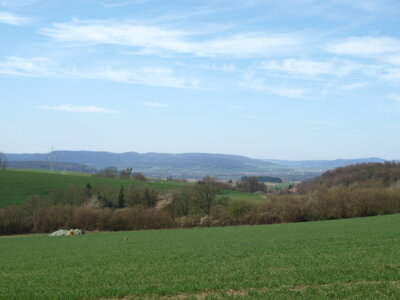 Osterwald?  (Bild vergr&ouml;&szlig;ern)
