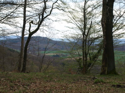 Noch kurz ein Blick ,,,  (Bild vergr&ouml;&szlig;ern)