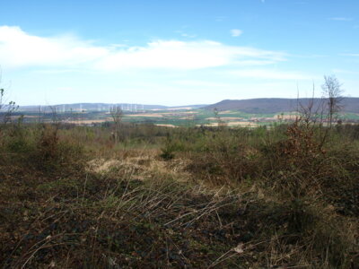 Aber auch sch&ouml;ne Aussicht  (Bild vergr&ouml;&szlig;ern)
