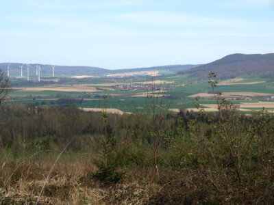 Norden  (Bild vergr&ouml;&szlig;ern)