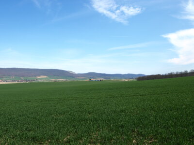 Nur noch dieses Brachland ...  (Bild vergr&ouml;&szlig;ern)