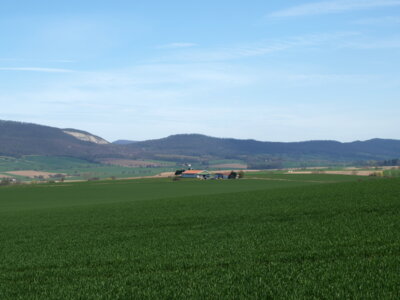 ... mit sch&ouml;ner Aussicht  (Bild vergr&ouml;&szlig;ern)