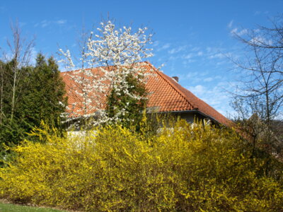 Herrlich  (Bild vergr&ouml;&szlig;ern)