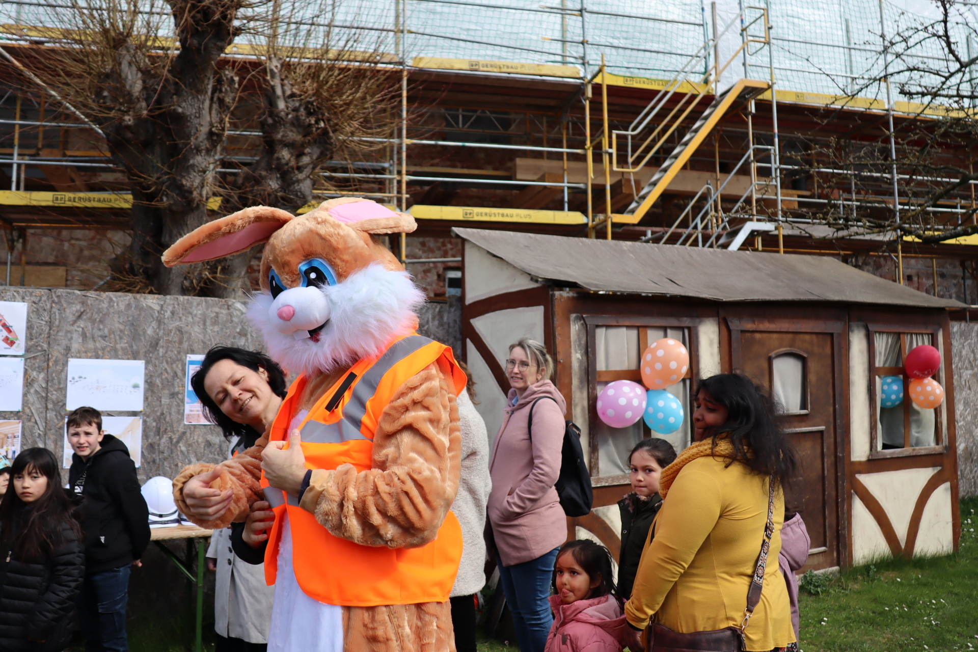 Bild der Galerie