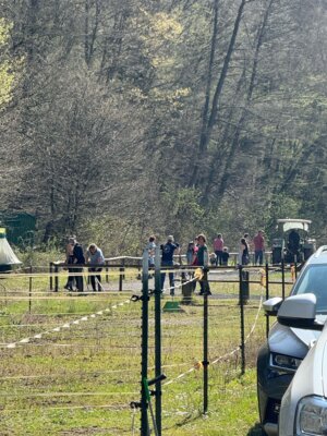 Foto des Albums: Arbeitstag Split