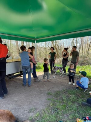 Foto des Albums: Arbeitstag Split