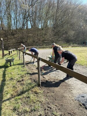 Foto des Albums: Arbeitstag Split