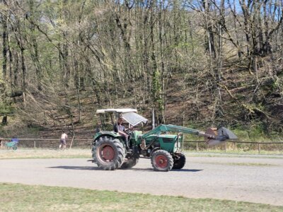 Foto des Albums: Arbeitstag Split