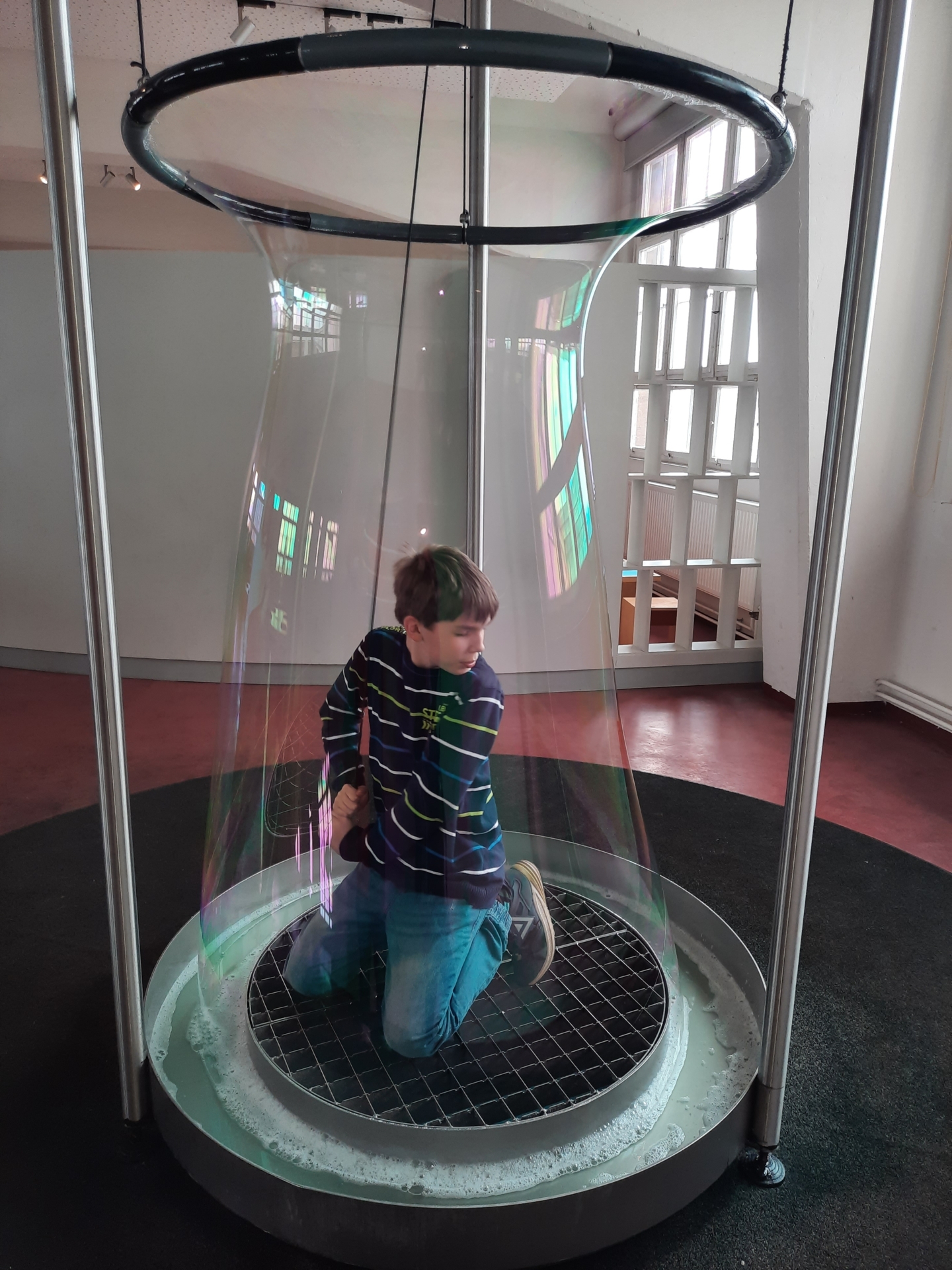 Bild der Galerie