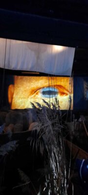 Foto des Albums: Hansemuseum