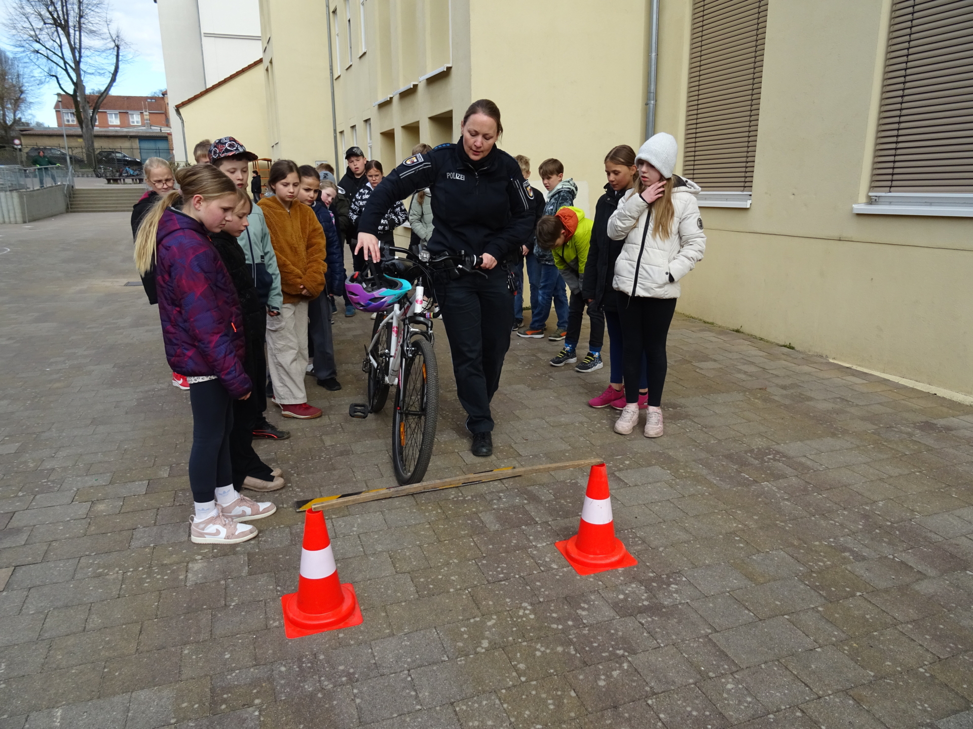 Bild der Galerie