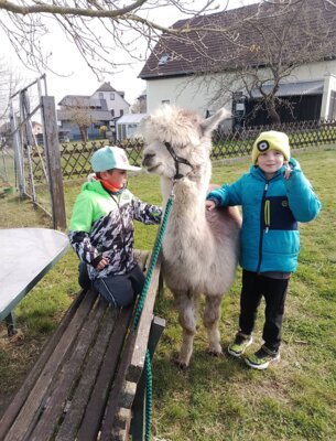 Foto des Albums: Osterferien 1. Woche