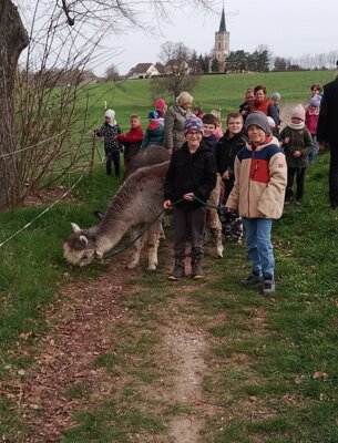 Foto des Albums: Osterferien 1. Woche