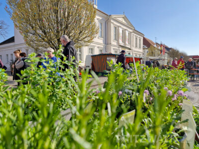Foto des Albums: Gute Resonanz beim Saisonauftakt zum PriMa-Treff mit 5 Jahre Citybüro