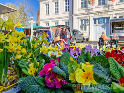 Foto des Albums: Gute Resonanz beim Saisonauftakt zum PriMa-Treff mit 5 Jahre Citybüro