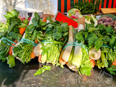 Foto des Albums: Gute Resonanz beim Saisonauftakt zum PriMa-Treff mit 5 Jahre Citybüro
