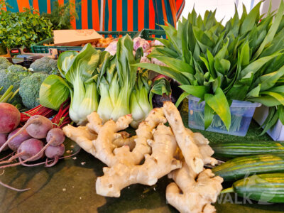 Foto des Albums: Gute Resonanz beim Saisonauftakt zum PriMa-Treff mit 5 Jahre Citybüro