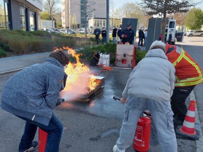Foto des Albums: Katschutz Aktionstag GMS 2025