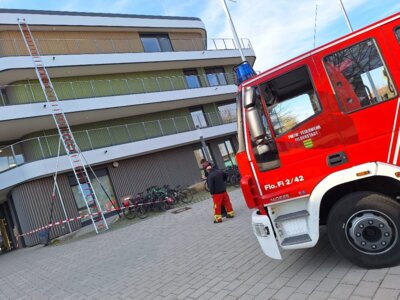 Foto des Albums: Katschutz Aktionstag GMS 2025
