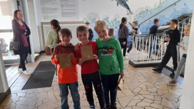 Foto des Albums: Osternestersuche