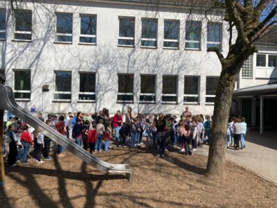 Foto des Albums: Osternestersuche