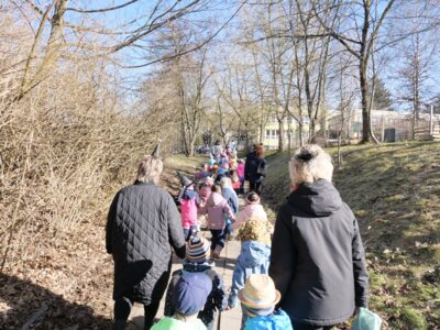 Foto des Albums: Fasching 2025
