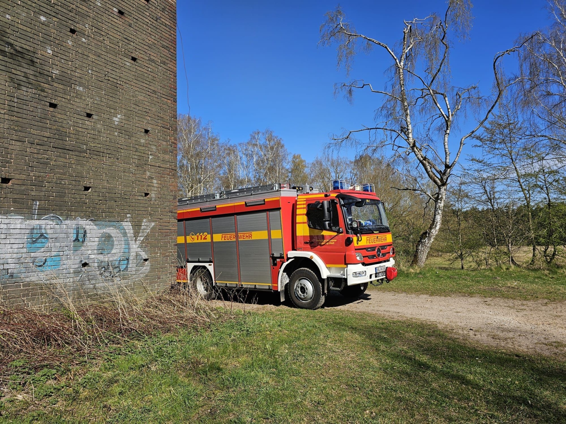 Bild der Galerie
