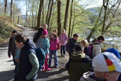 Foto des Albums: Klassenfahrt der Klasse 4 nach Arnsberg