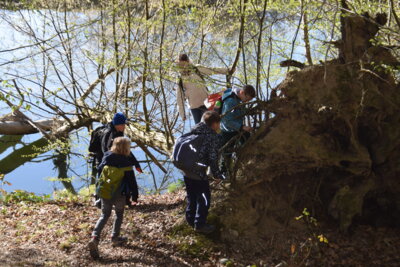 Foto des Albums: Klassenfahrt der Klasse 4 nach Arnsberg