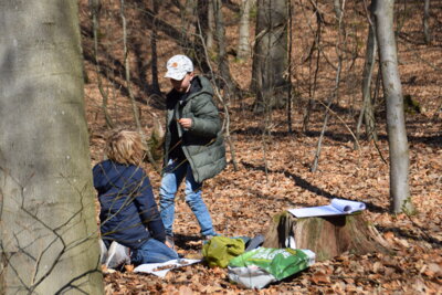Foto des Albums: Klassenfahrt der Klasse 4 nach Arnsberg