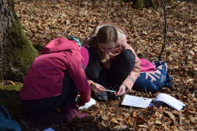 Foto des Albums: Klassenfahrt der Klasse 4 nach Arnsberg