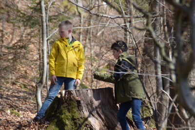 Foto des Albums: Klassenfahrt der Klasse 4 nach Arnsberg