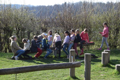 Foto des Albums: Klassenfahrt der Klasse 4 nach Arnsberg