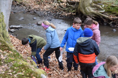 Foto des Albums: Klassenfahrt der Klasse 4 nach Arnsberg