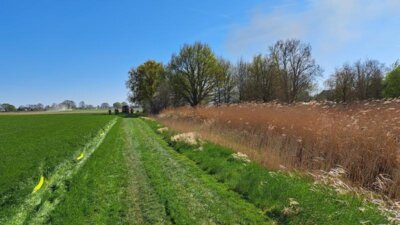 Foto des Albums: Einsatz 14/2025