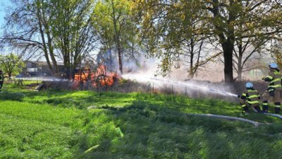 Foto des Albums: Einsatz 14/2025