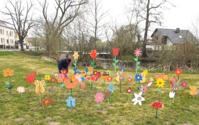 Fotoalbum Blumenwiese in Kooperation mit dem Heimatverein/ Klasse 2a
