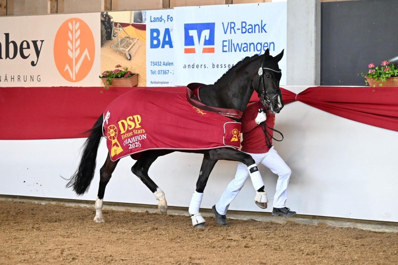 Bild: secrets black perl