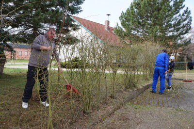 Vorschaubild: Dörrwalde