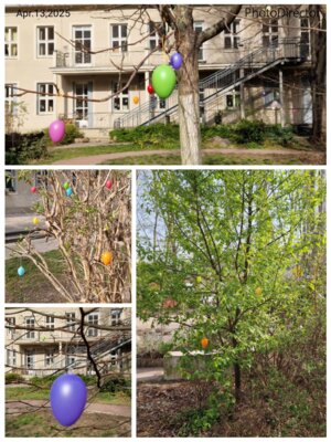 Foto des Albums: Ostergruß