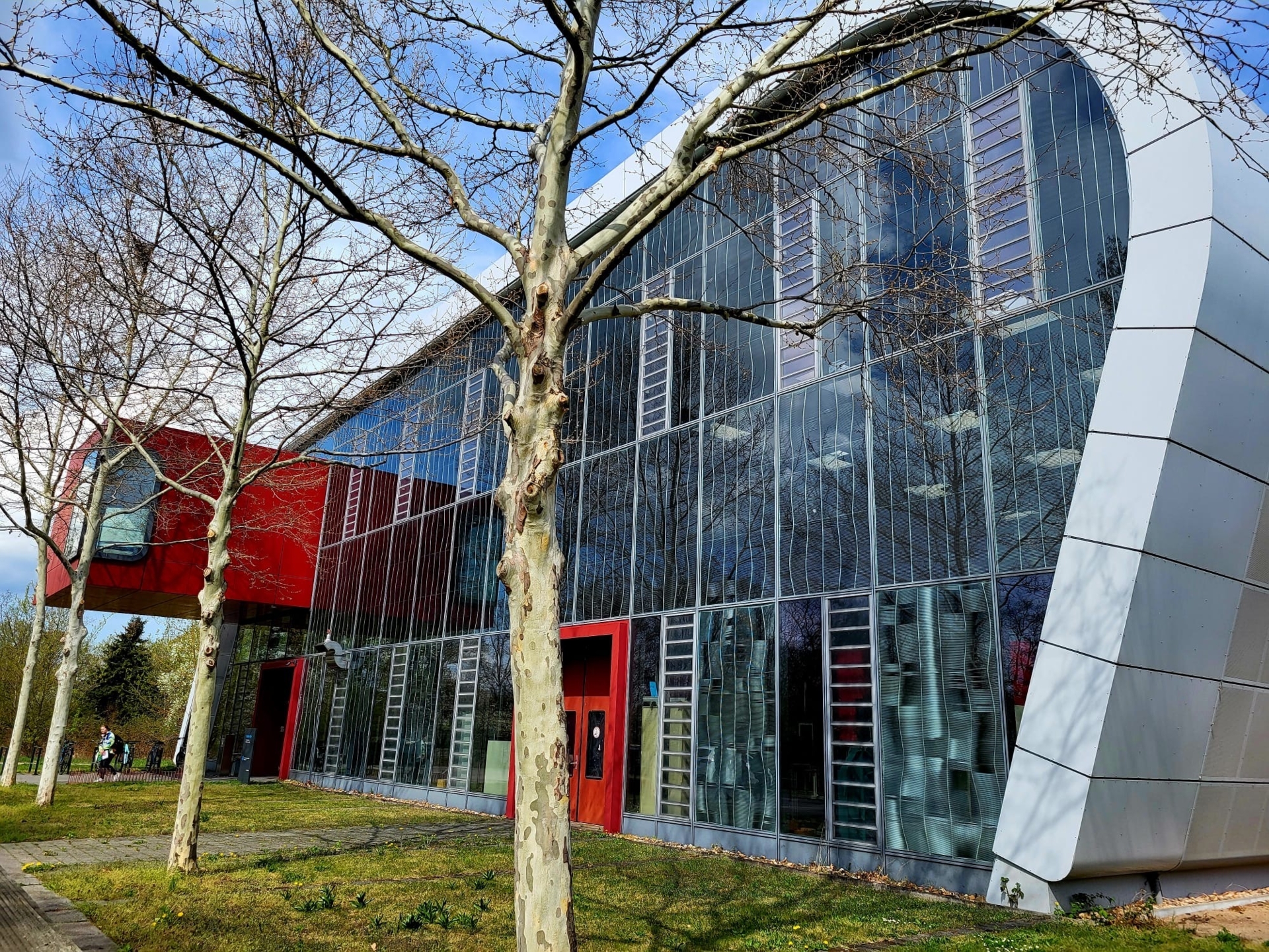 Bild der Galerie