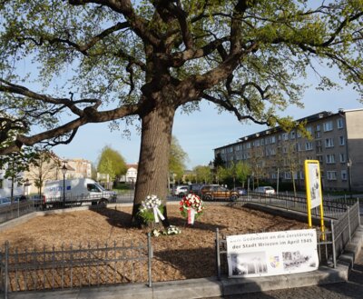 Foto des Albums: Gedenkveranstaltung 16.04.2025