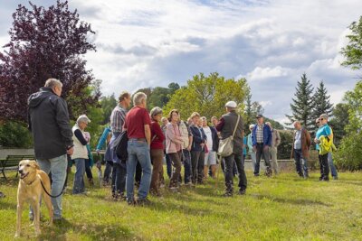 Vorschaubild der Galerie