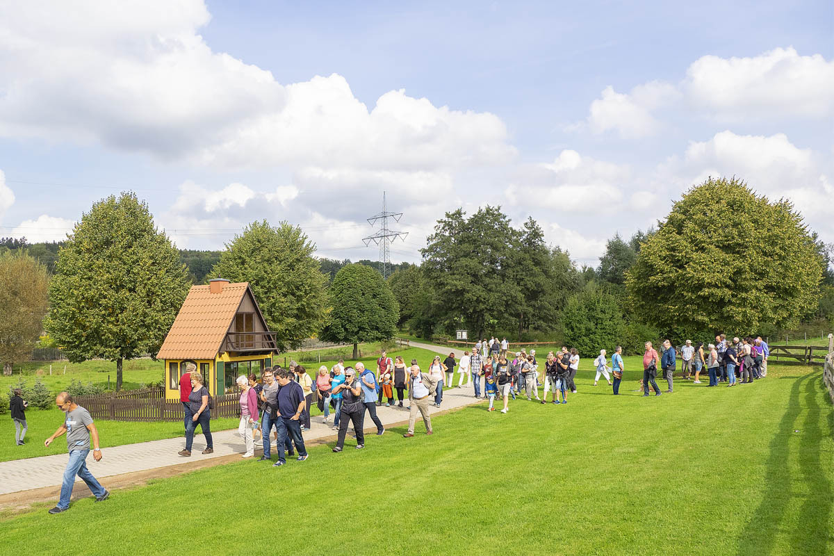 Bild der Galerie