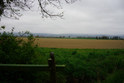 Deister im Nebel - Gleich Zuhause  (Bild vergr&ouml;&szlig;ern)