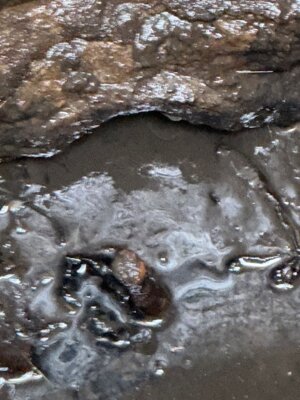 Vorschaubild: IMG 8147