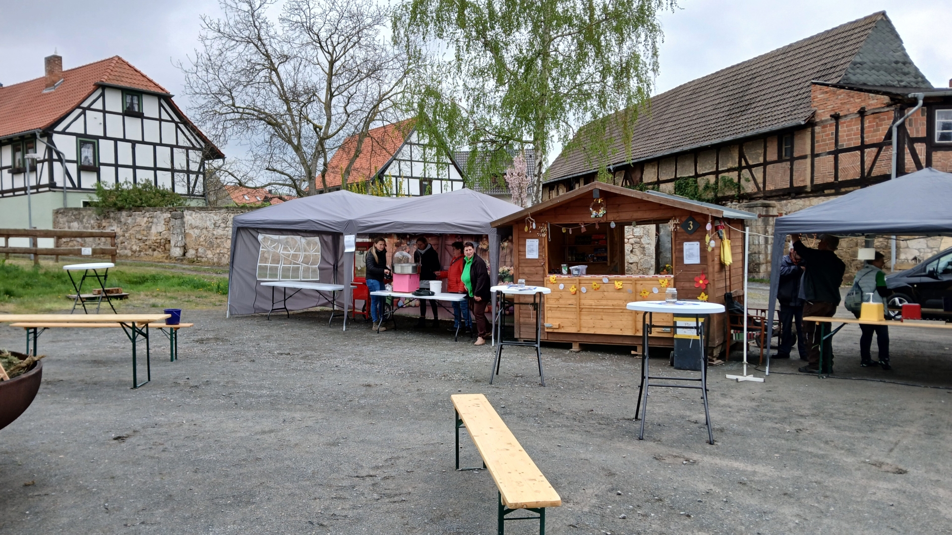 Bild der Galerie